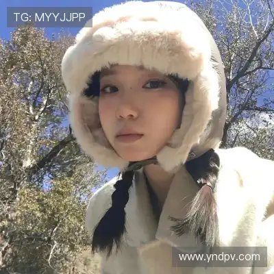 凤鲁庄